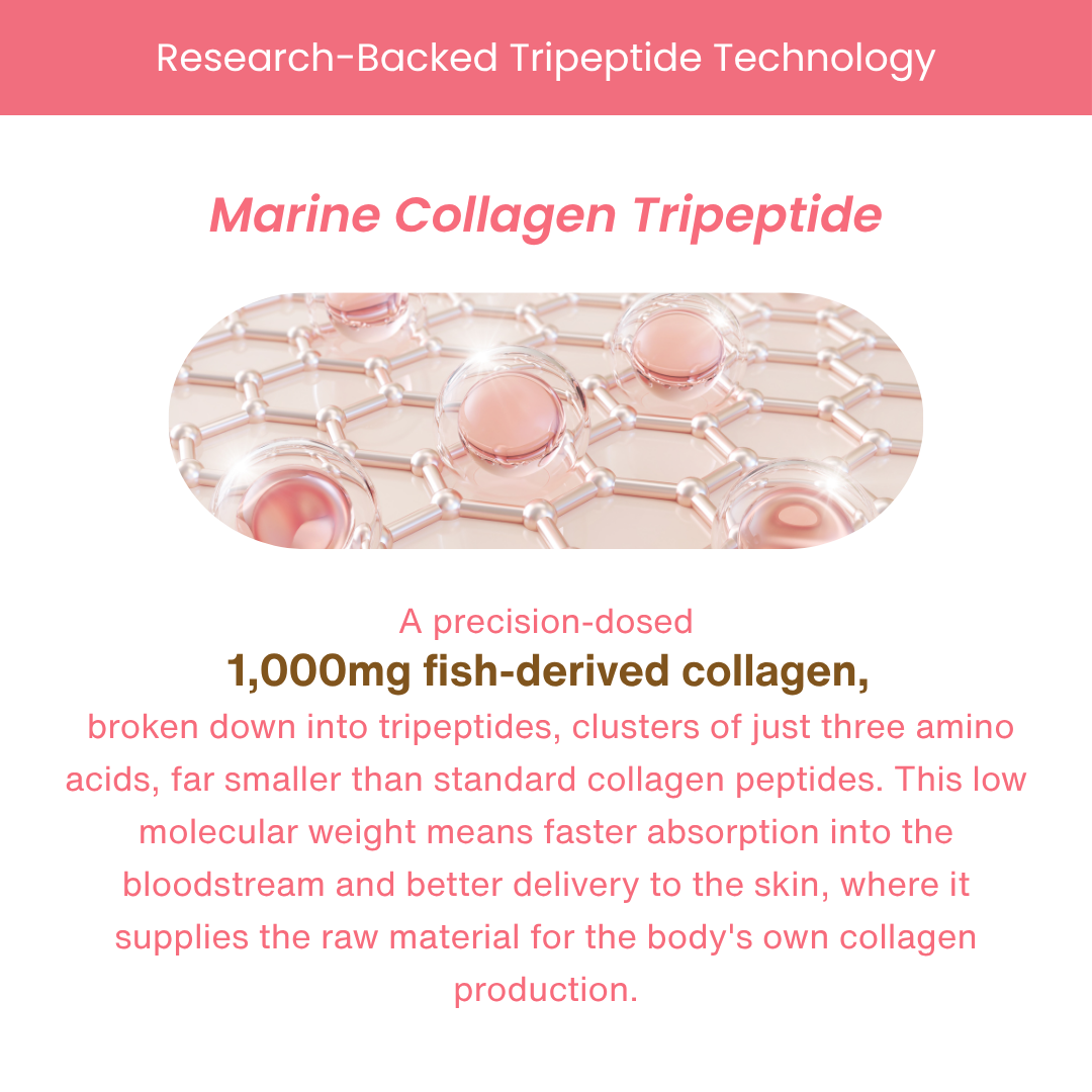 Marine Collagen Tripeptide
