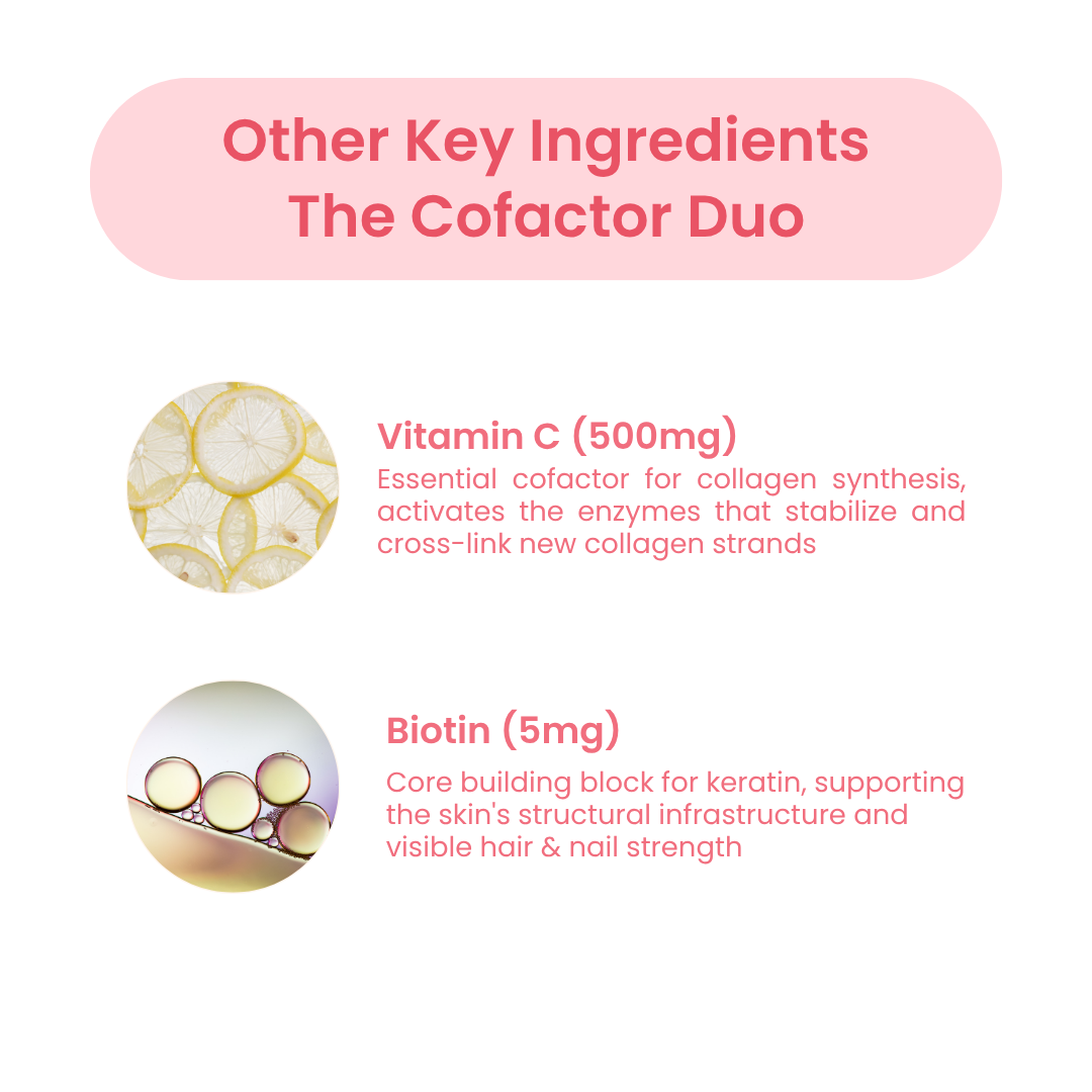 Marine Collagen Tripeptide