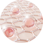 Marine Collagen Tripeptide