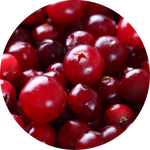 Cranberry Extract