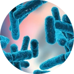 Probiotics Blend (20B CFU)
