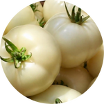 White Tomato Extract