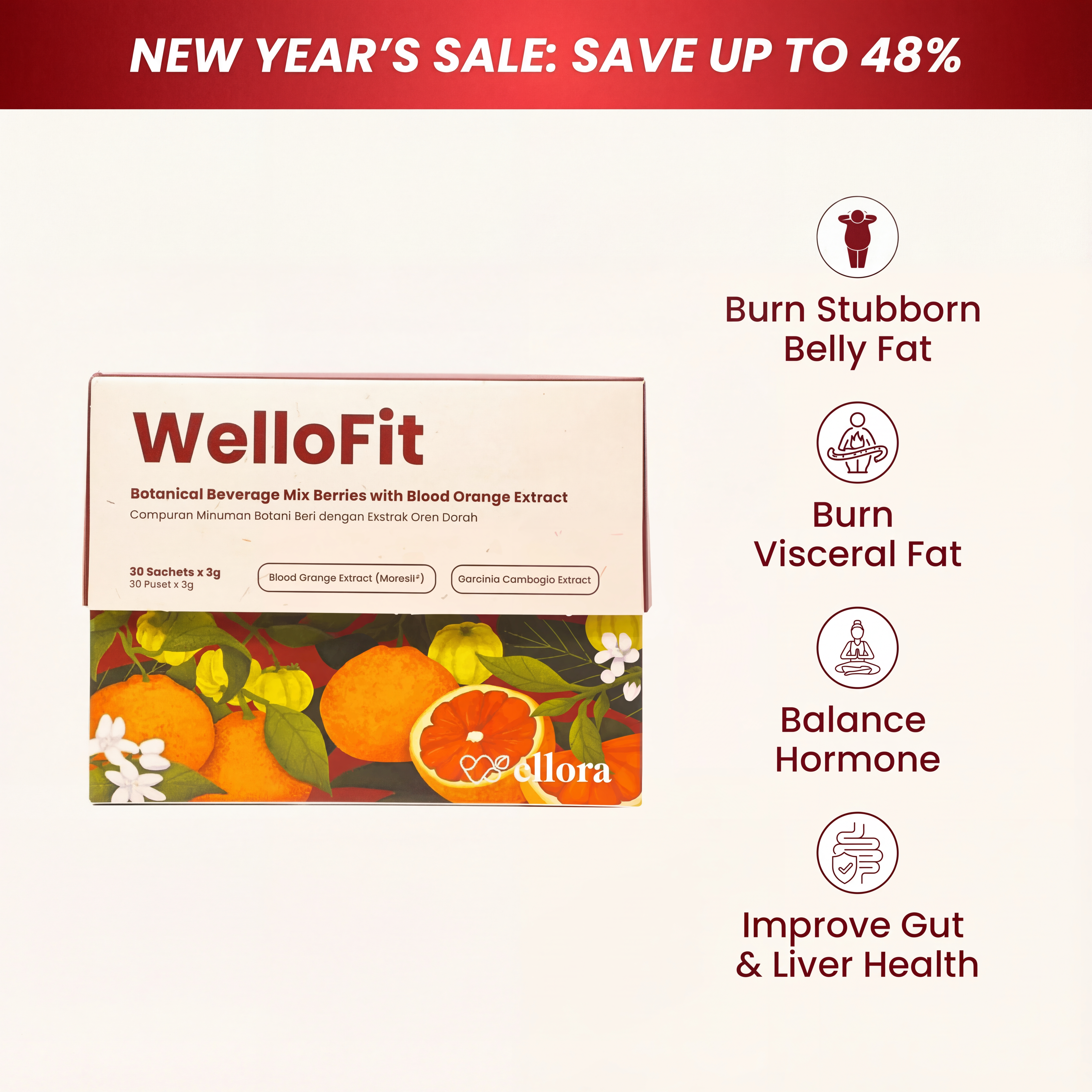 WelloFit